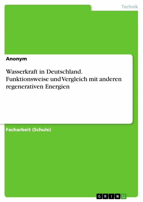 Wasserkraft in Deutschland. Funktionsweise und Vergleich mit anderen regenerativen Energien