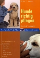 Hunde richtig pflegen - Heike E Wagner