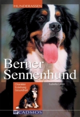 Berner Sennenhund - Isabella Lauer