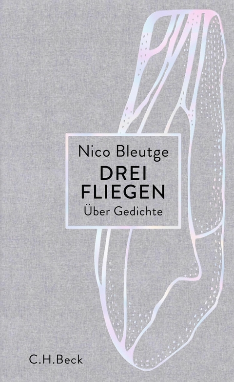 Drei Fliegen - Nico Bleutge