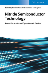 Nitride Semiconductor Technology - 