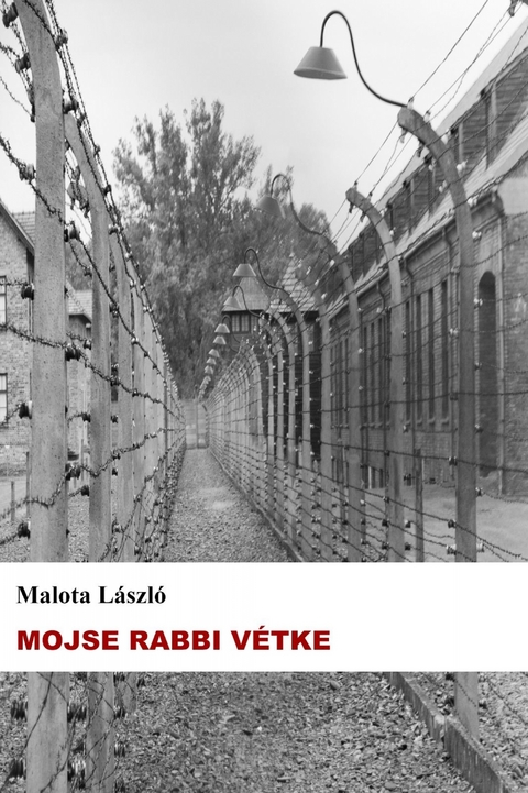 Mojse rabbi vétke - László Malota