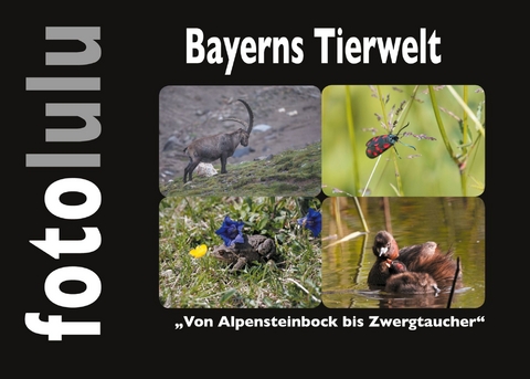 Bayerns Tierwelt -  fotolulu