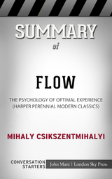 Summary of Flow - Paul Mani