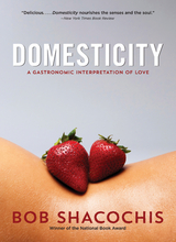 Domesticity - Bob Shacochis