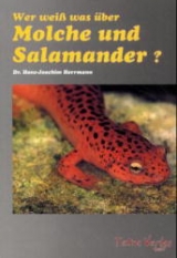 Wer weiss was über Molche und Salamander - Hans J Herrmann