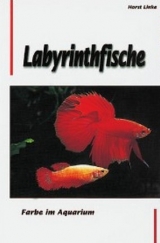 Labyrinthfische - Farbe im Aquarium - Horst Linke