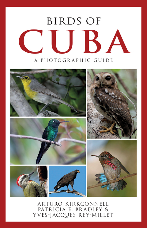 Birds of Cuba -  Patricia E. Bradley,  Arturo Kirkconnell,  Yves-Jacques Rey-Millet