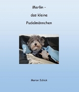 Merlin - das kleine Pudelmännchen - Marion Schick