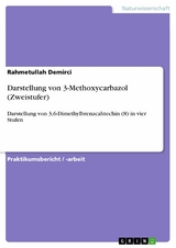 Darstellung von 3-Methoxycarbazol (Zweistufer) -  Rahmetullah Demirci