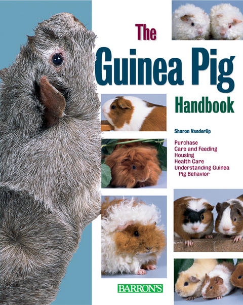 Guinea Pig Handbook -  Vanderlip D.V.M. Sharon Vanderlip D.V.M.