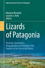 Lizards of Patagonia - 