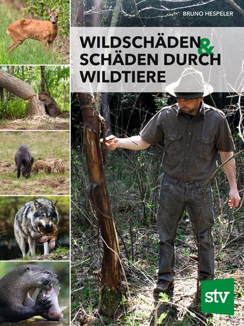 Wildschäden & Schäden durch Wildtiere - Bruno Hespeler