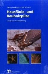 Hausfäule- und Bauholzpilze - Tobias Huckfeldt, Olaf Schmidt