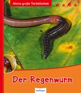 Meine große Tierbibliothek: Der Regenwurm - Tracqui, Valérie