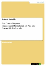 Das Controlling von Social-Media-Maßnahmen im Paid und Owned Media-Bereich - Antonia Heinrich