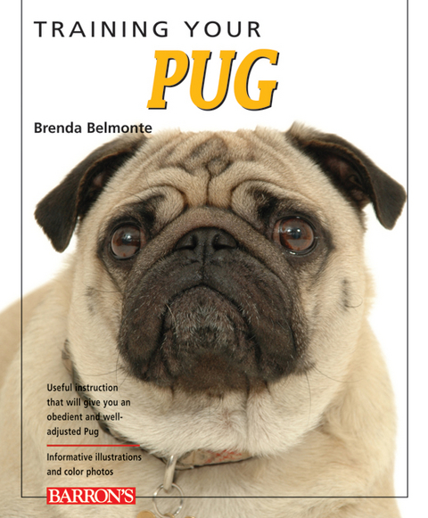 Training Your Pug -  Belmonte Brenda Belmonte