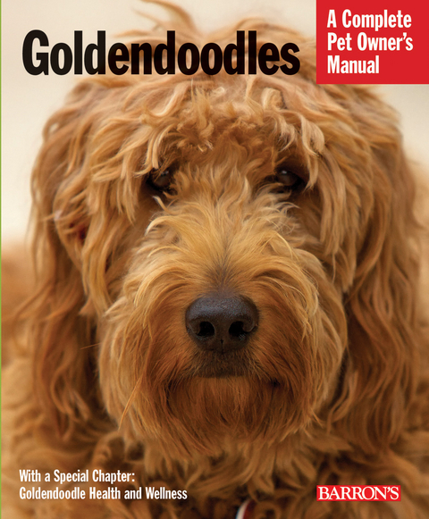 Goldendoodles -  MacKenzie Edie MacKenzie