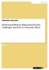 Professional Work in Multicultural Teams. Challenges and How to Overcome Them - Sebastian Henseler