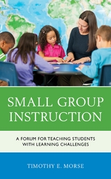 Small Group Instruction -  Timothy E. Morse