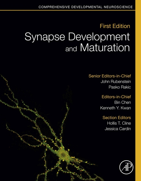 Synapse Development and Maturation - 