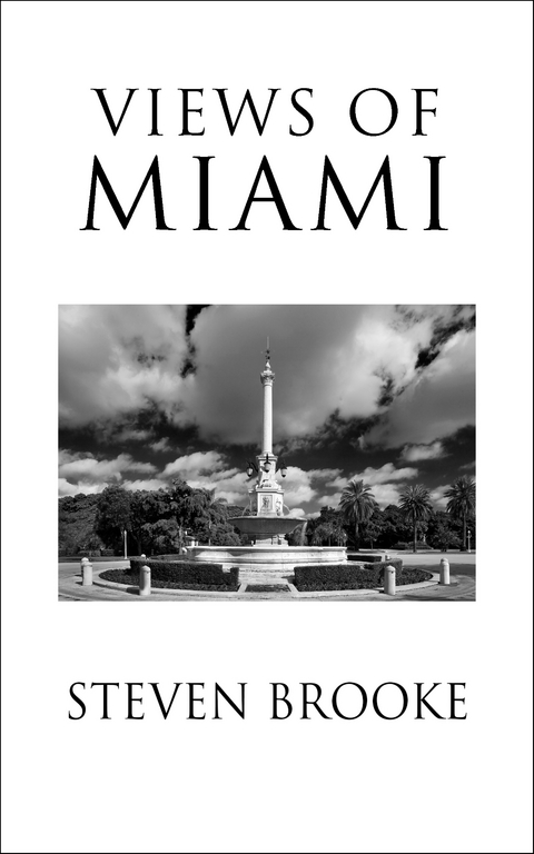 Views of Miami -  Steven Brooke