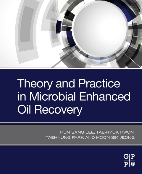 Theory and Practice in Microbial Enhanced Oil Recovery -  Moon Sik Jeong,  Tae-Hyuk Kwon,  Kun Sang Lee,  Taehyung Park