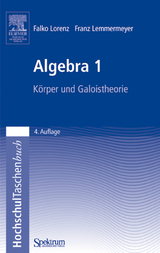 Algebra 1 - Lorenz, Falko; Lemmermeyer, Franz