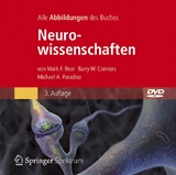 Bild-DVD, Neurowissenschaften - Mark F. Bear, Barry W. Connors, Michael A. Paradiso