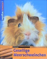 Gesellige Meerschweinchen - Peter Beck