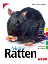 Meine Ratten - Brigitte Rauth-Widmann
