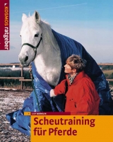 Scheutraining für Pferde - Lily Merklin