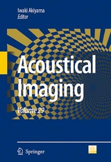 Acoustical Imaging - 