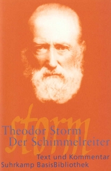 Der Schimmelreiter - Theodor Storm