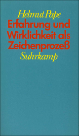 Erfahrung und Wirklichkeit als Zeichenprozeß - Helmut Pape