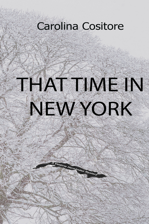 That Time in New York -  Carolina Cositore