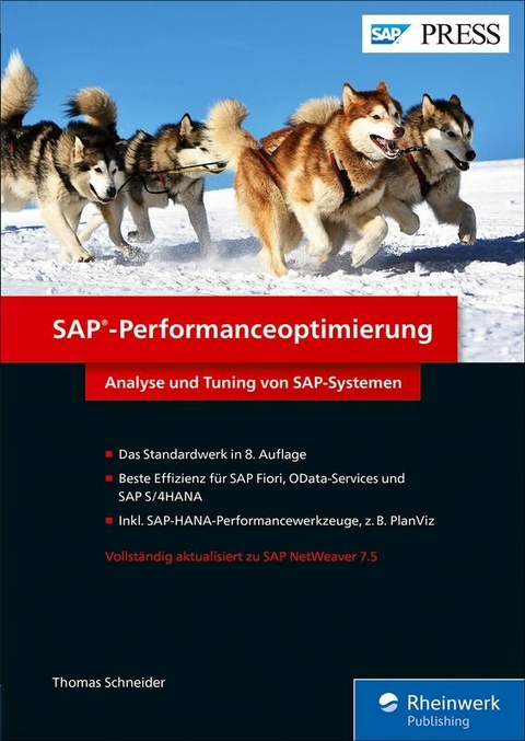 SAP-Performanceoptimierung -  Thomas Schneider