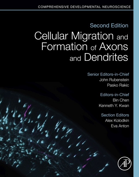 Cellular Migration and Formation of Axons and Dendrites - 