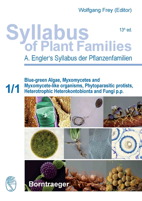 Syllabus of Plant Families - A. Engler's Syllabus der Pflanzenfamilien Part 1/1: -  Adolf Engler