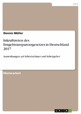 Inkrafttreten des Entgelttransparenzgesetzes in Deutschland 2017 - Dennis Müller