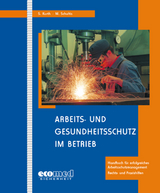 Arbeits- und Gesundheitsschutz im Betrieb - Sönke Kurth, Michael Schultis