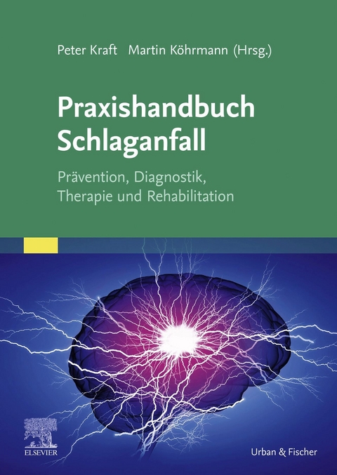 Praxishandbuch Schlaganfall - 