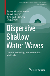 Dispersive Shallow Water Waves - Gayaz Khakimzyanov, Denys Dutykh, Zinaida Fedotova, Oleg Gusev