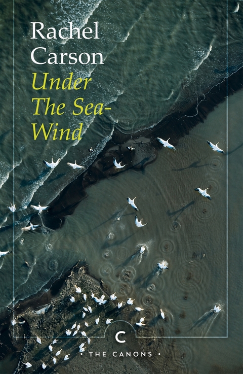 Under the Sea-Wind -  Rachel Carson