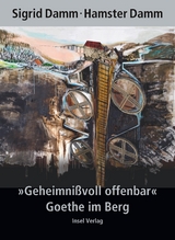 »Geheimnißvoll offenbar«. Goethe im Berg - Sigrid Damm