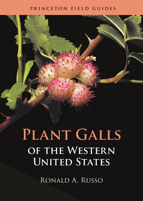 Plant Galls of the Western United States -  Ronald A. Russo