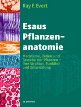 Esaus Pflanzenanatomie - Ray F. Evert