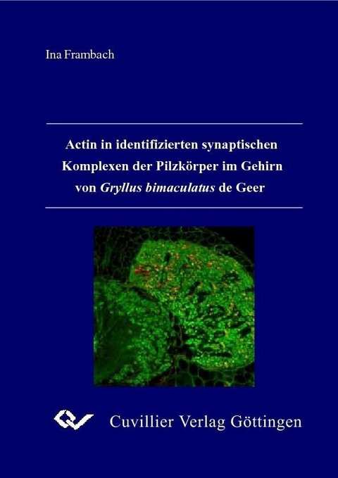 Actin in identifizierten synaptischen Komplexen der Pilzk&#xF6;rper im Gehirn von Gryllus bimaculatus de Geer -  Ina Frambach