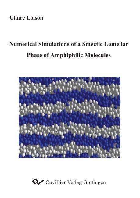 Numerical Simulations of a Smectic Lamellar of Amphiphilic Molecules -  Claire Loison