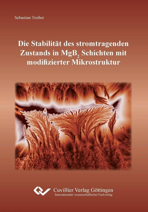 Die Stabilit&#xE4;t des stromtragenden Zustands in MgB2 Schichten mit modifizierter Mikrostruktur -  Sebastian Treiber